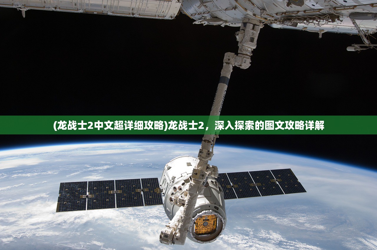 (龙战士2中文超详细攻略)龙战士2，深入探索的图文攻略详解