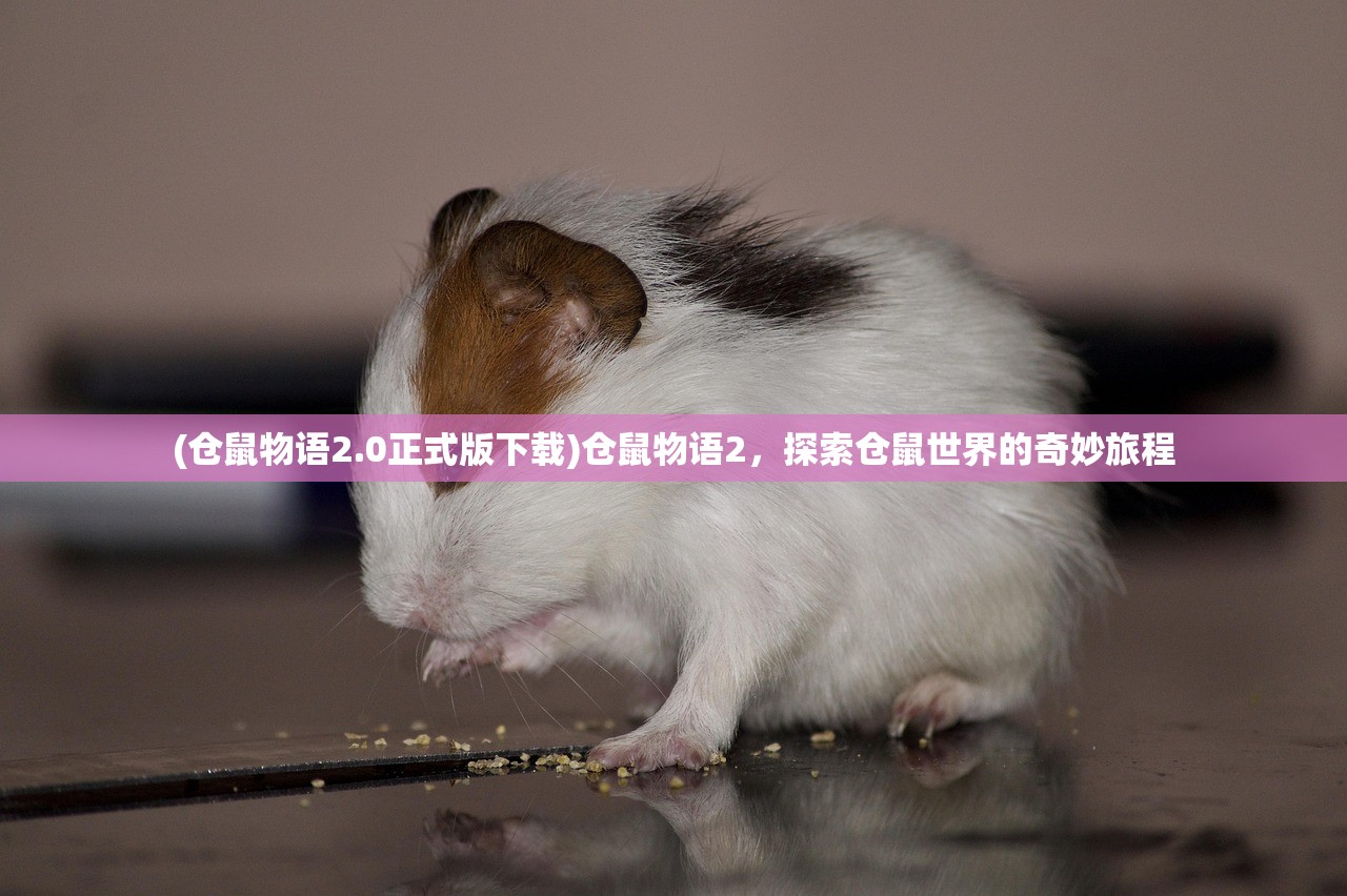 (仓鼠物语2.0正式版下载)仓鼠物语2，探索仓鼠世界的奇妙旅程