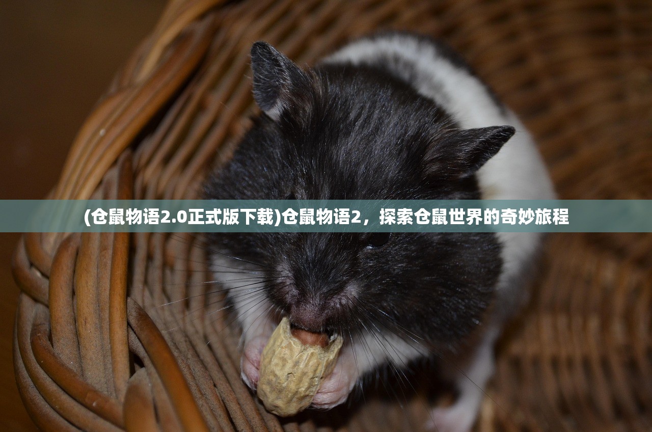 (仓鼠物语2.0正式版下载)仓鼠物语2，探索仓鼠世界的奇妙旅程