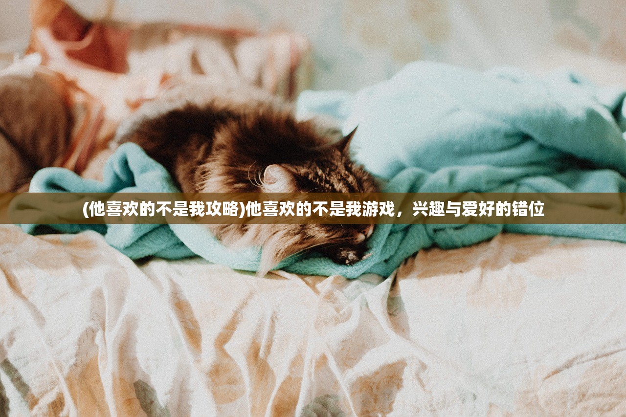 (他喜欢的不是我攻略)他喜欢的不是我游戏，兴趣与爱好的错位