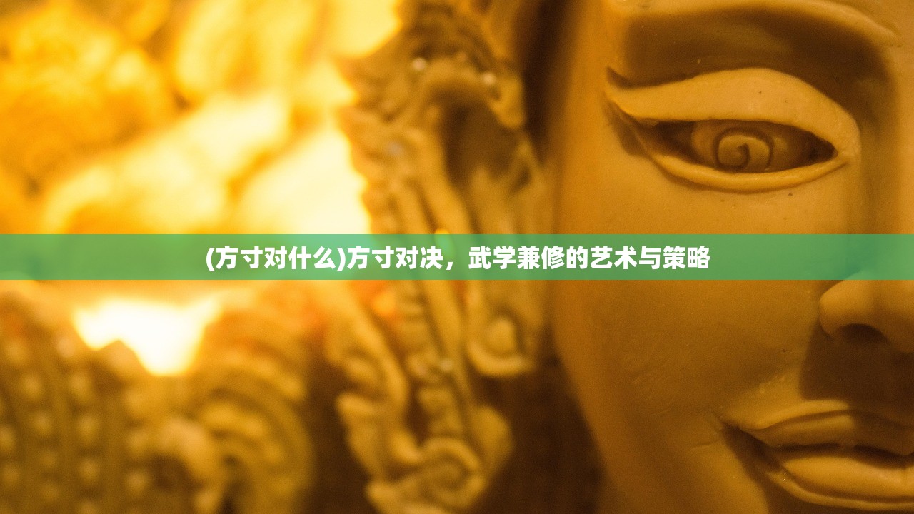 (方寸对什么)方寸对决，武学兼修的艺术与策略