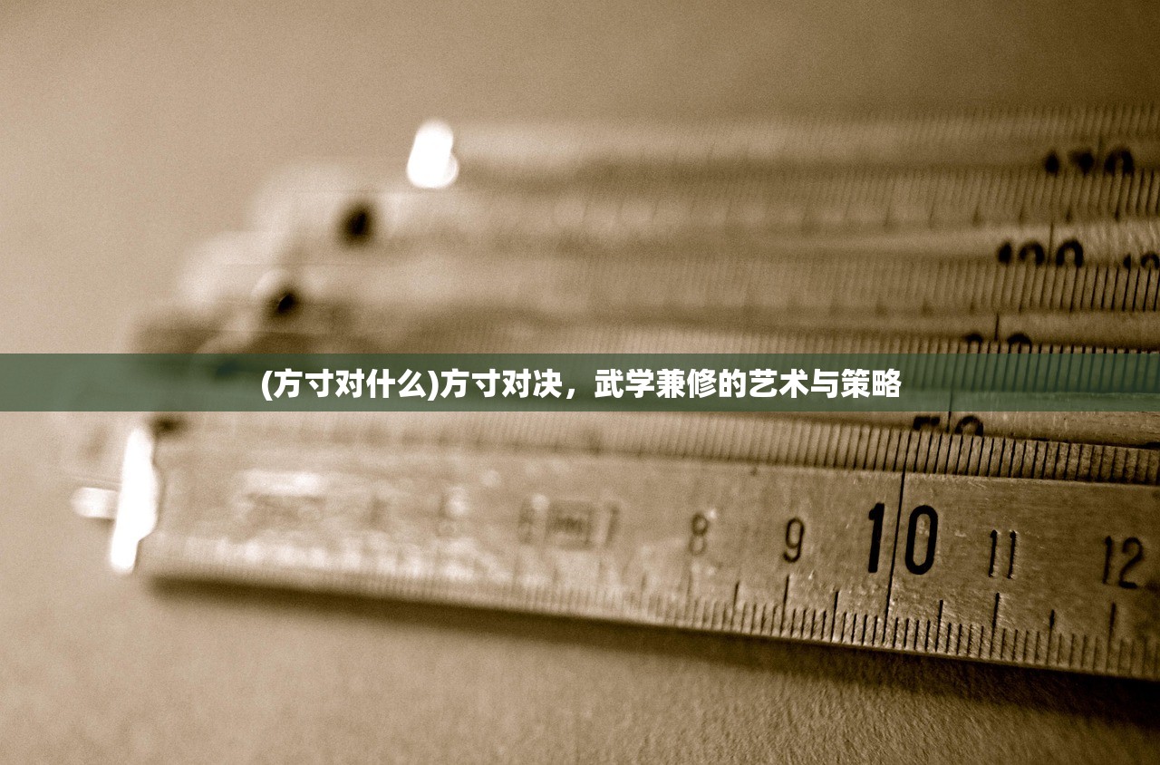 (方寸对什么)方寸对决，武学兼修的艺术与策略