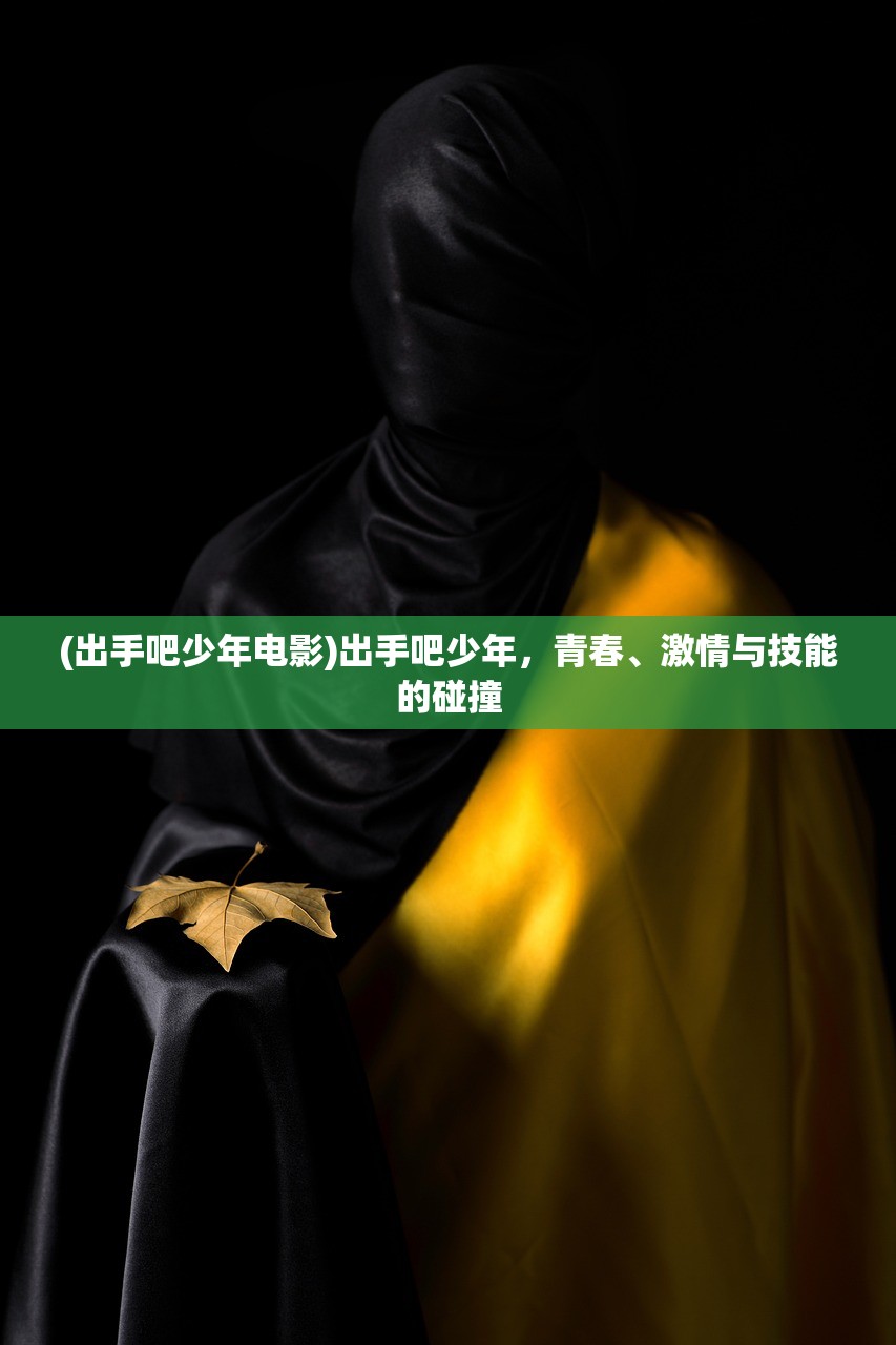 (出手吧少年电影)出手吧少年，青春、激情与技能的碰撞