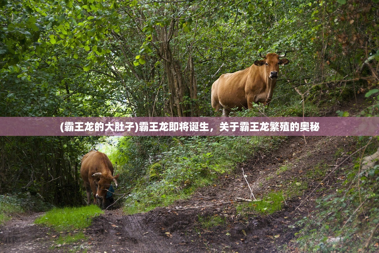 (霸王龙的大肚子)霸王龙即将诞生，关于霸王龙繁殖的奥秘