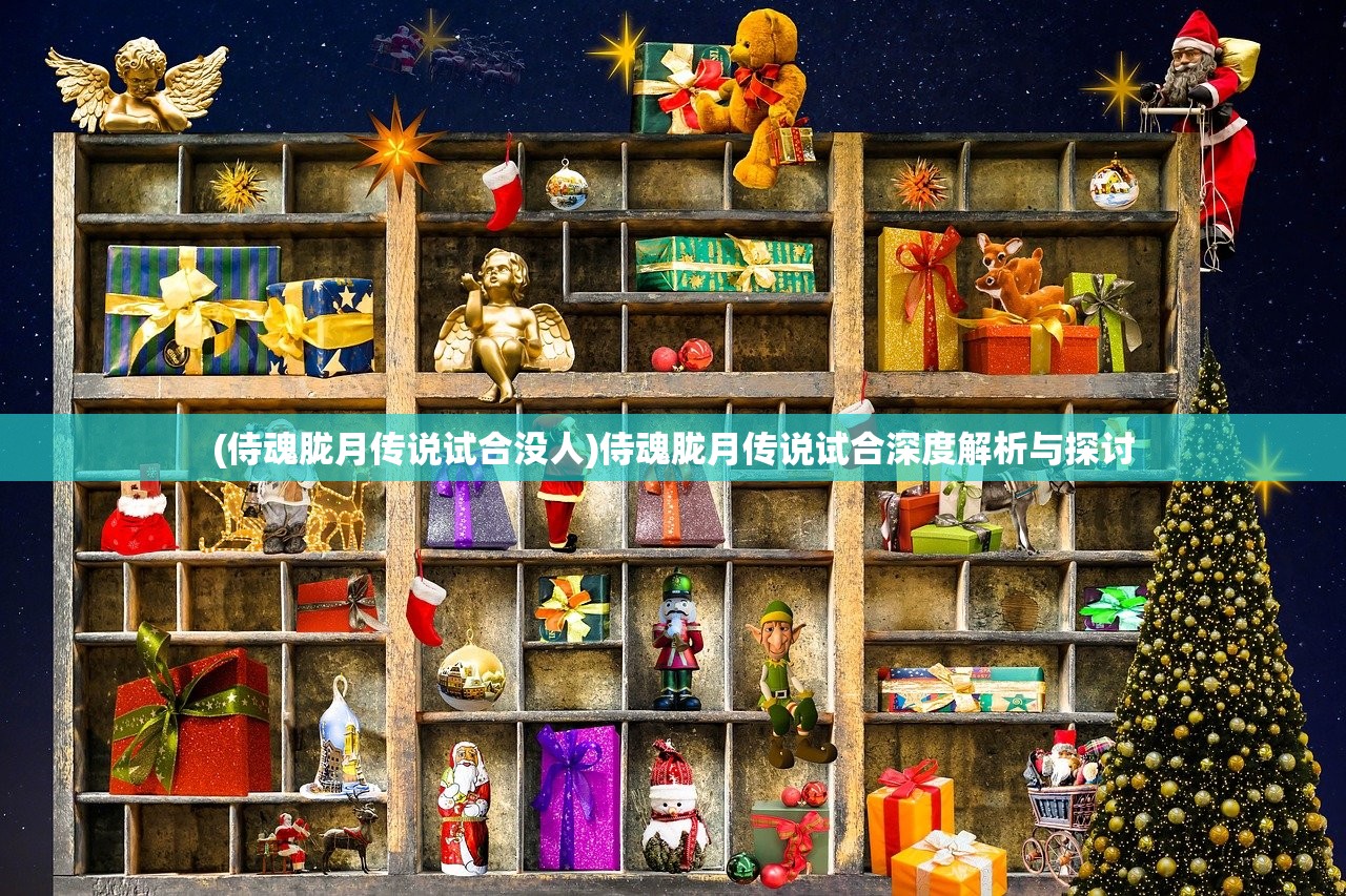 (侍魂胧月传说试合没人)侍魂胧月传说试合深度解析与探讨