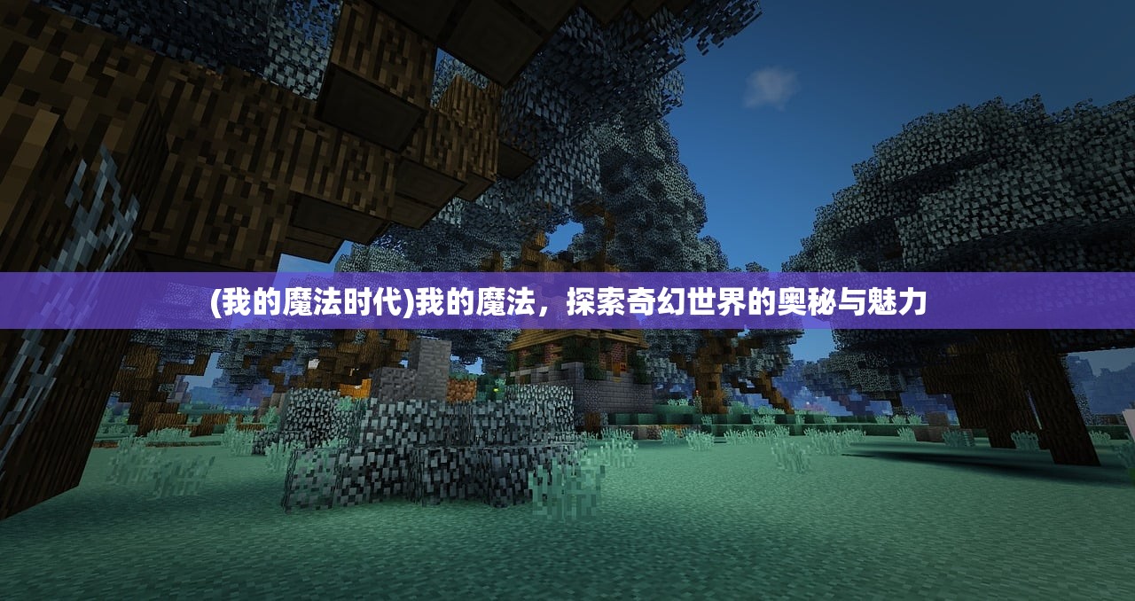 (我的魔法时代)我的魔法，探索奇幻世界的奥秘与魅力