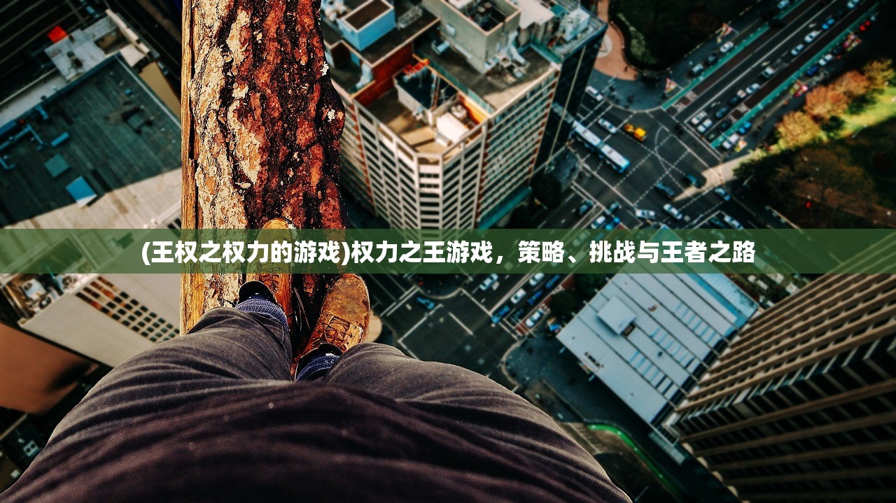 (王权之权力的游戏)权力之王游戏，策略、挑战与王者之路