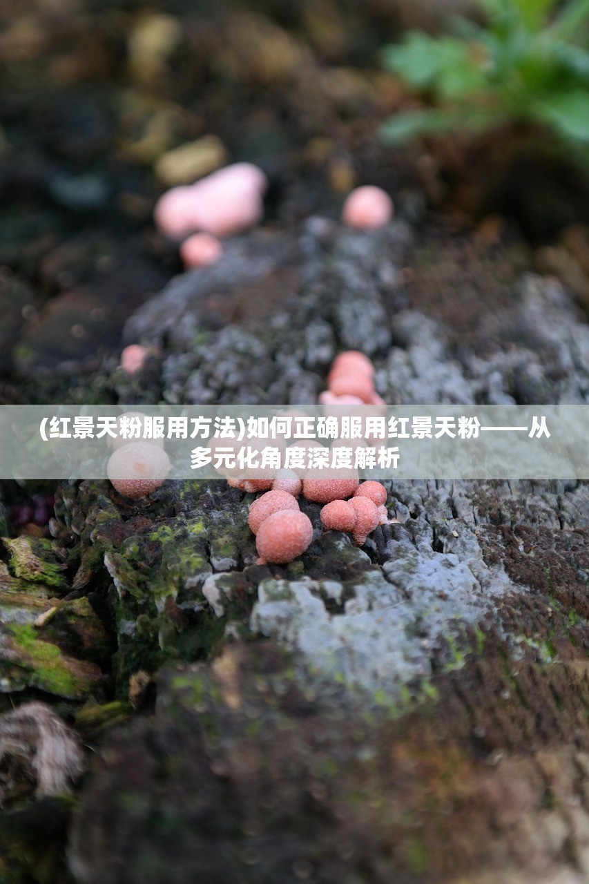 (红景天粉服用方法)如何正确服用红景天粉——从多元化角度深度解析