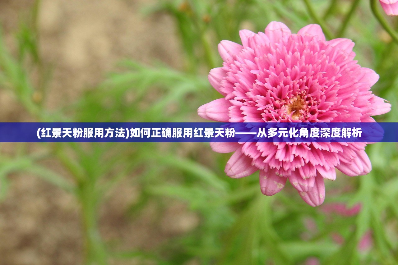 (红景天粉服用方法)如何正确服用红景天粉——从多元化角度深度解析