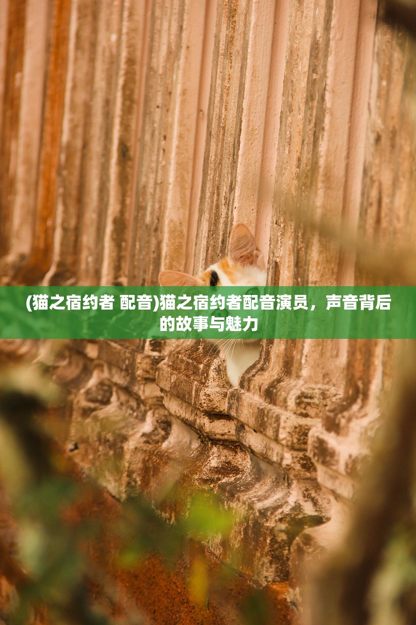 (猫之宿约者 配音)猫之宿约者配音演员，声音背后的故事与魅力
