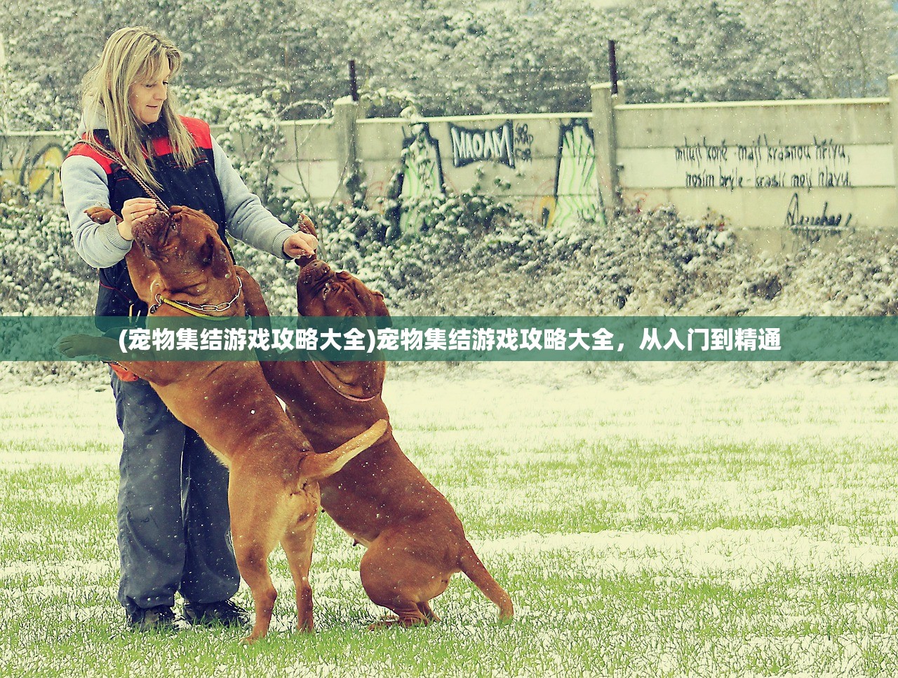 (宠物集结游戏攻略大全)宠物集结游戏攻略大全，从入门到精通