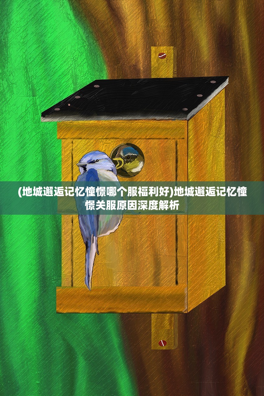 (地城邂逅记忆憧憬哪个服福利好)地城邂逅记忆憧憬关服原因深度解析
