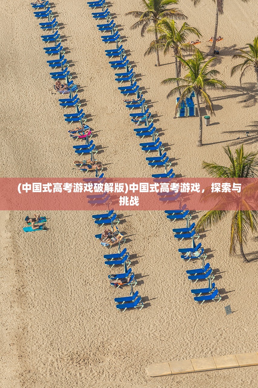 (中国式高考游戏破解版)中国式高考游戏，探索与挑战