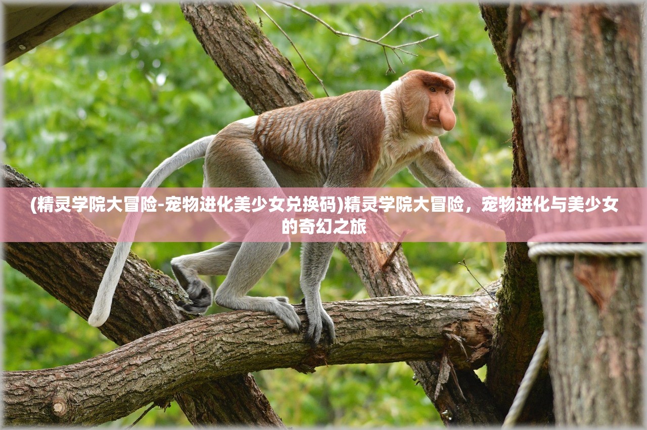 (精灵学院大冒险-宠物进化美少女兑换码)精灵学院大冒险，宠物进化与美少女的奇幻之旅