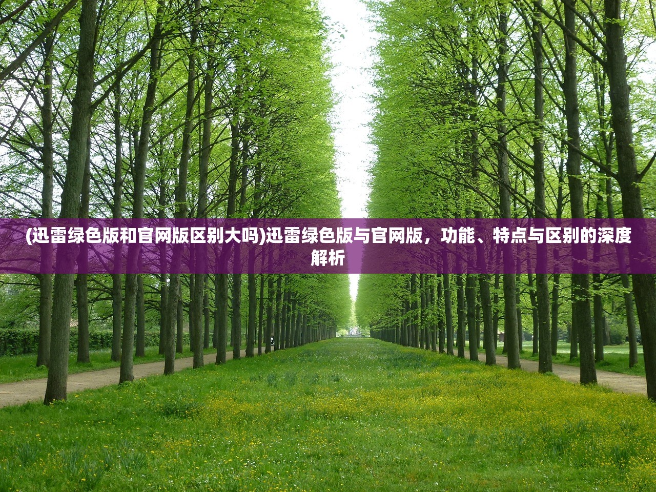 (迅雷绿色版和官网版区别大吗)迅雷绿色版与官网版，功能、特点与区别的深度解析