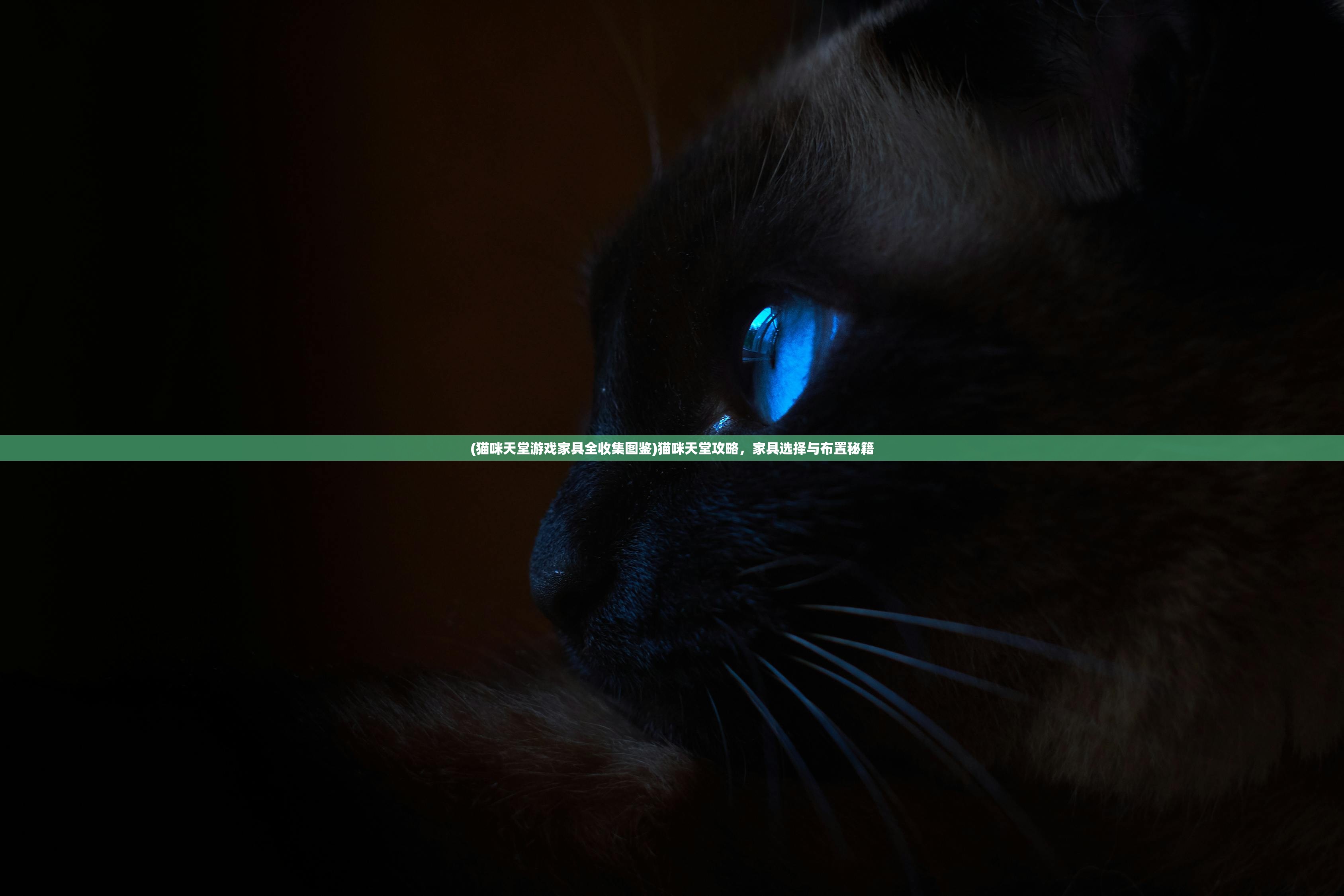 (猫咪天堂游戏家具全收集图鉴)猫咪天堂攻略，家具选择与布置秘籍