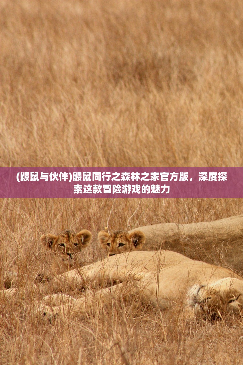 (鼹鼠与伙伴)鼹鼠同行之森林之家官方版，深度探索这款冒险游戏的魅力