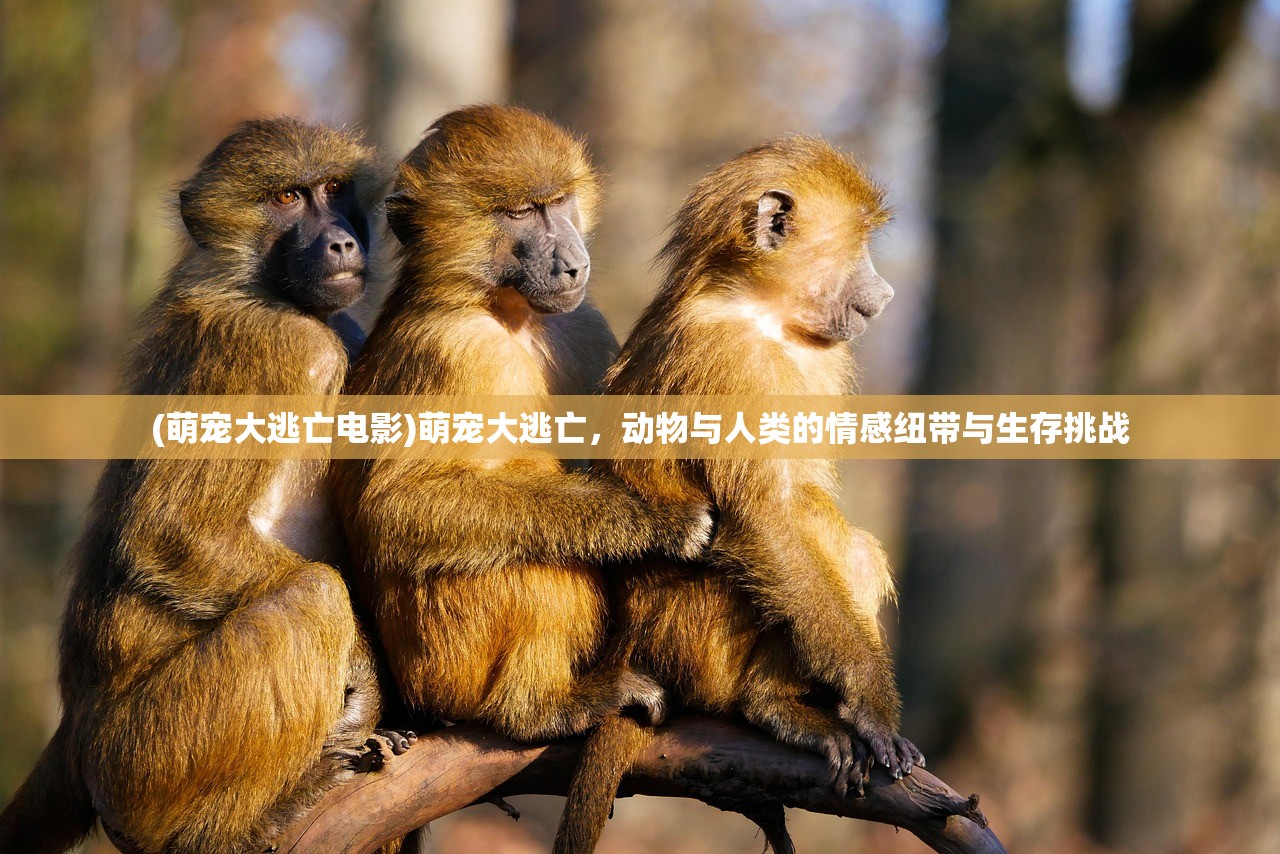 (萌宠大逃亡电影)萌宠大逃亡，动物与人类的情感纽带与生存挑战