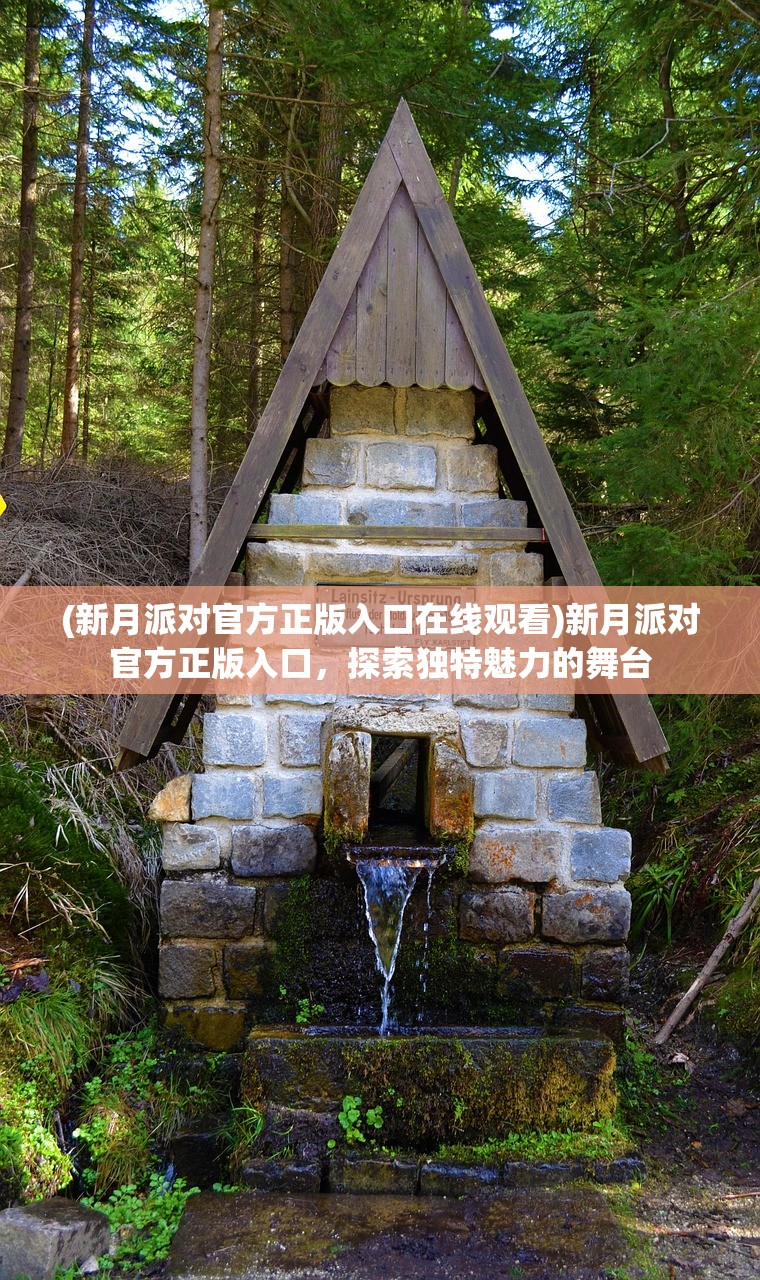(新月派对官方正版入口在线观看)新月派对官方正版入口，探索独特魅力的舞台