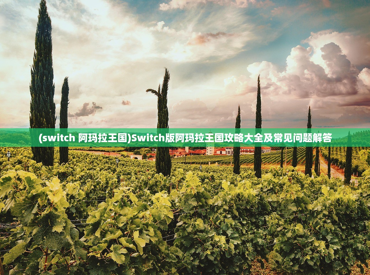 (switch 阿玛拉王国)Switch版阿玛拉王国攻略大全及常见问题解答