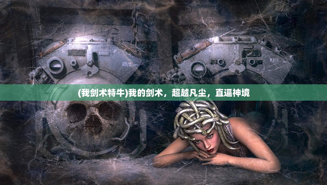 (我剑术特牛)我的剑术，超越凡尘，直逼神境