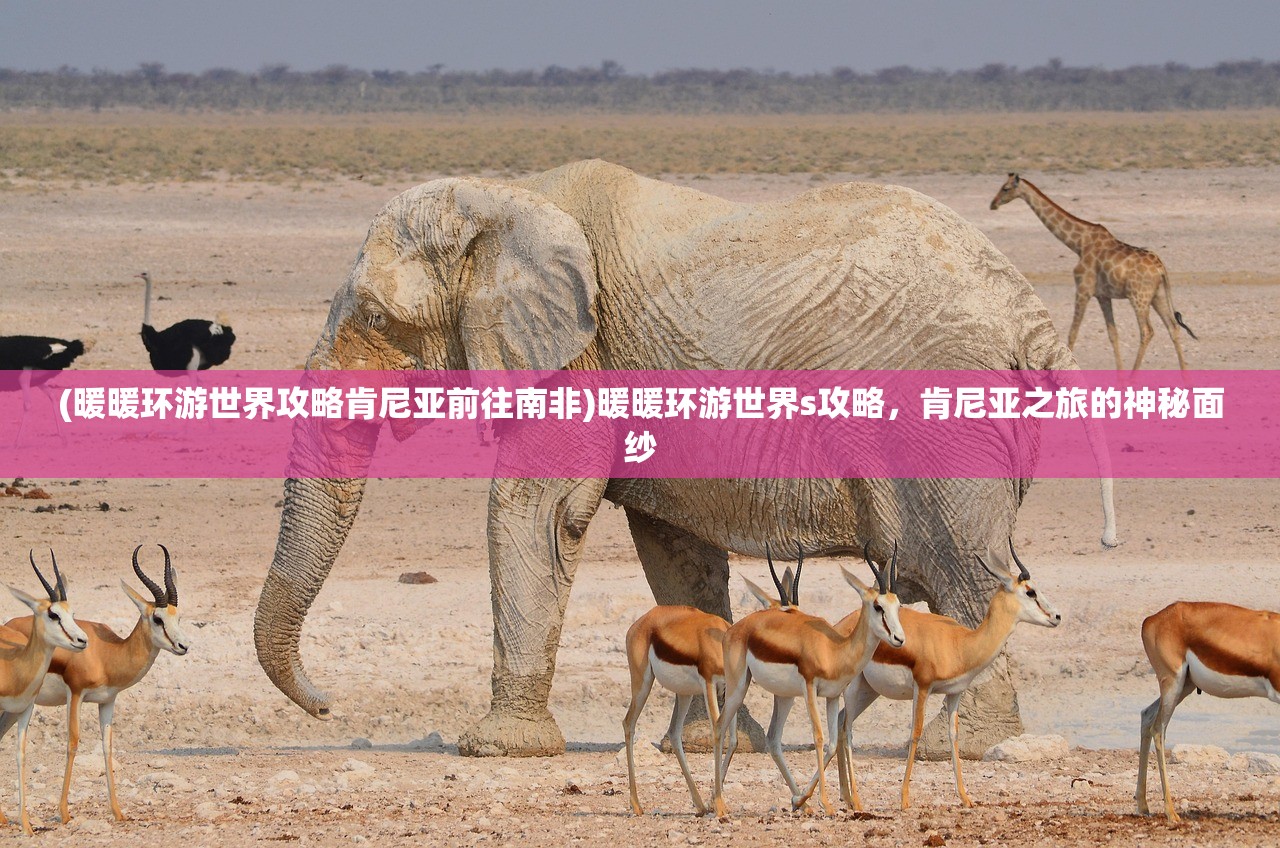 (暖暖环游世界攻略肯尼亚前往南非)暖暖环游世界s攻略，肯尼亚之旅的神秘面纱