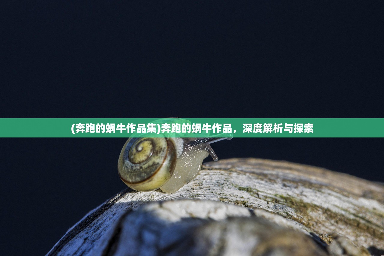 (奔跑的蜗牛作品集)奔跑的蜗牛作品，深度解析与探索