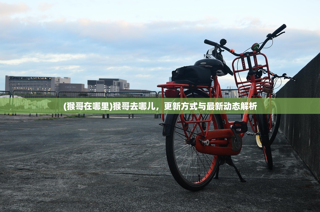 (猴哥在哪里)猴哥去哪儿，更新方式与最新动态解析