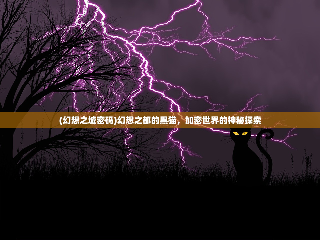 (幻想之城密码)幻想之都的黑猫，加密世界的神秘探索