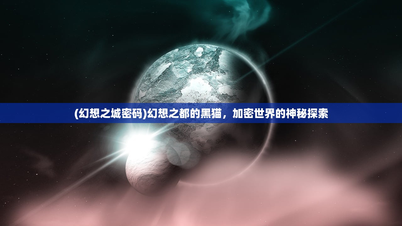 (幻想之城密码)幻想之都的黑猫，加密世界的神秘探索