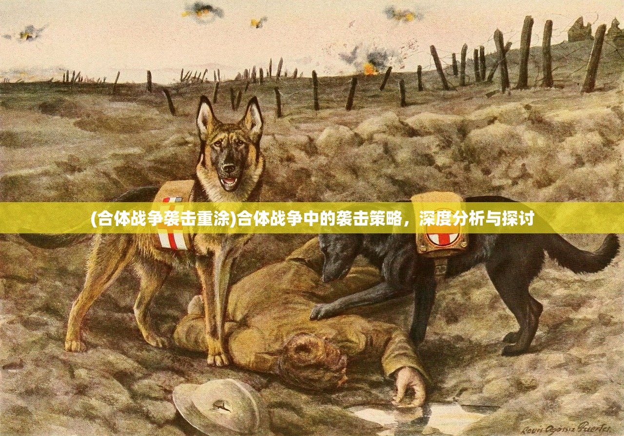 (合体战争袭击重涂)合体战争中的袭击策略，深度分析与探讨