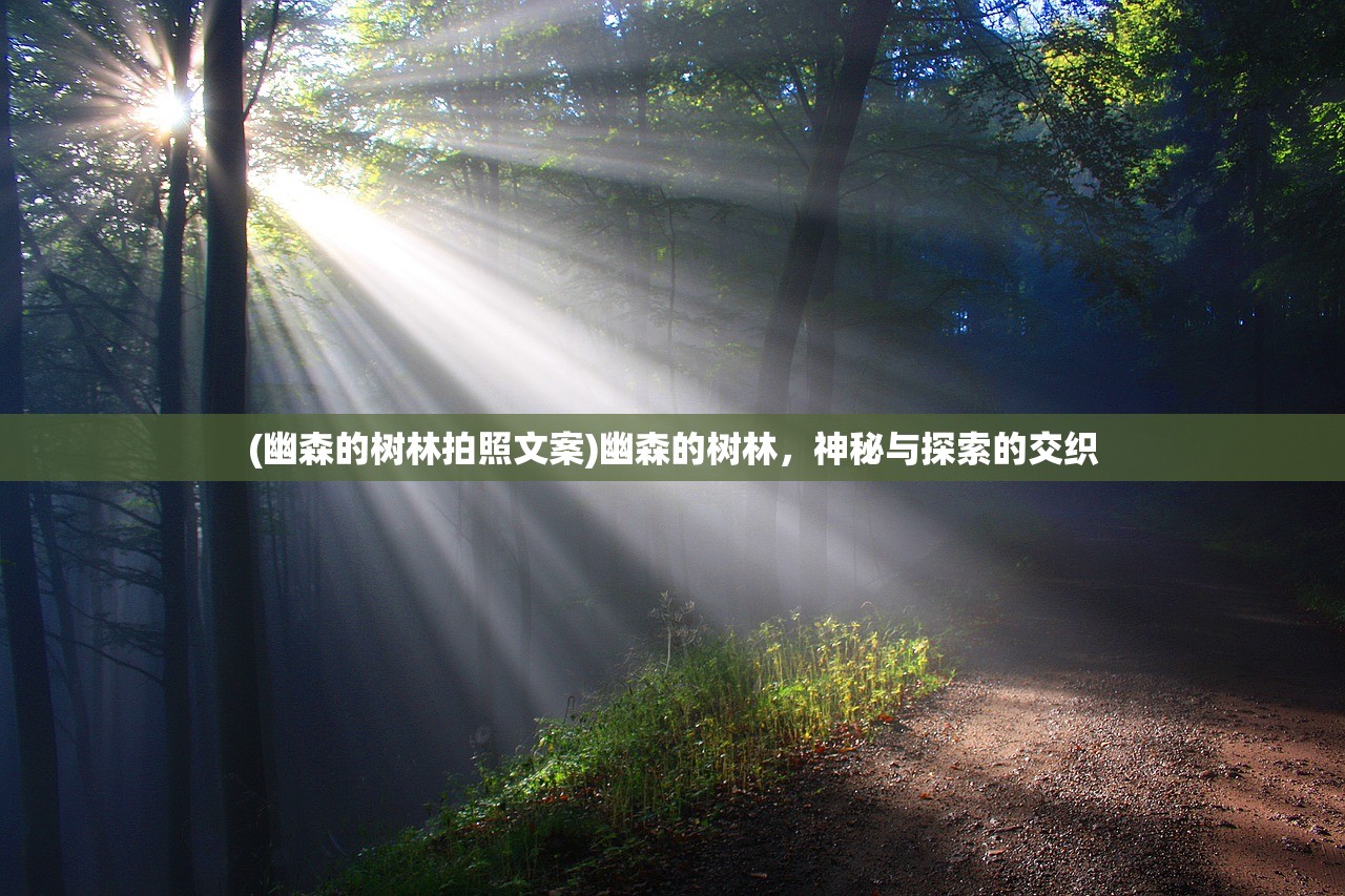 (幽森的树林拍照文案)幽森的树林，神秘与探索的交织