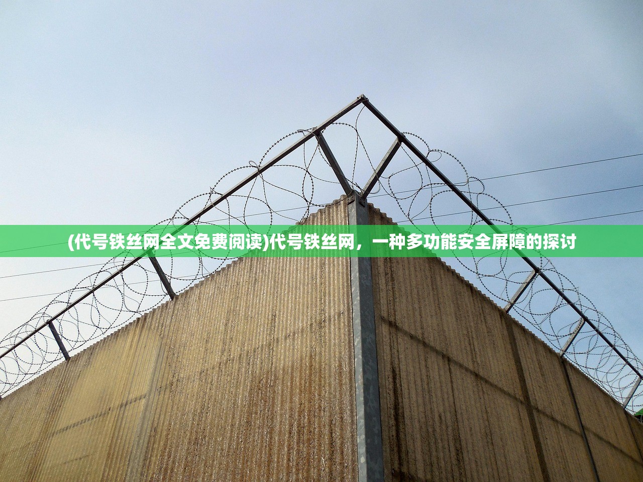 (代号铁丝网全文免费阅读)代号铁丝网，一种多功能安全屏障的探讨