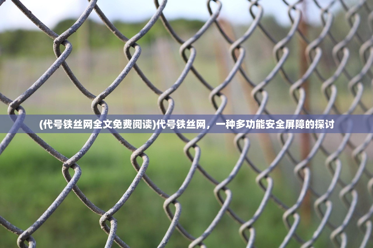 (代号铁丝网全文免费阅读)代号铁丝网，一种多功能安全屏障的探讨