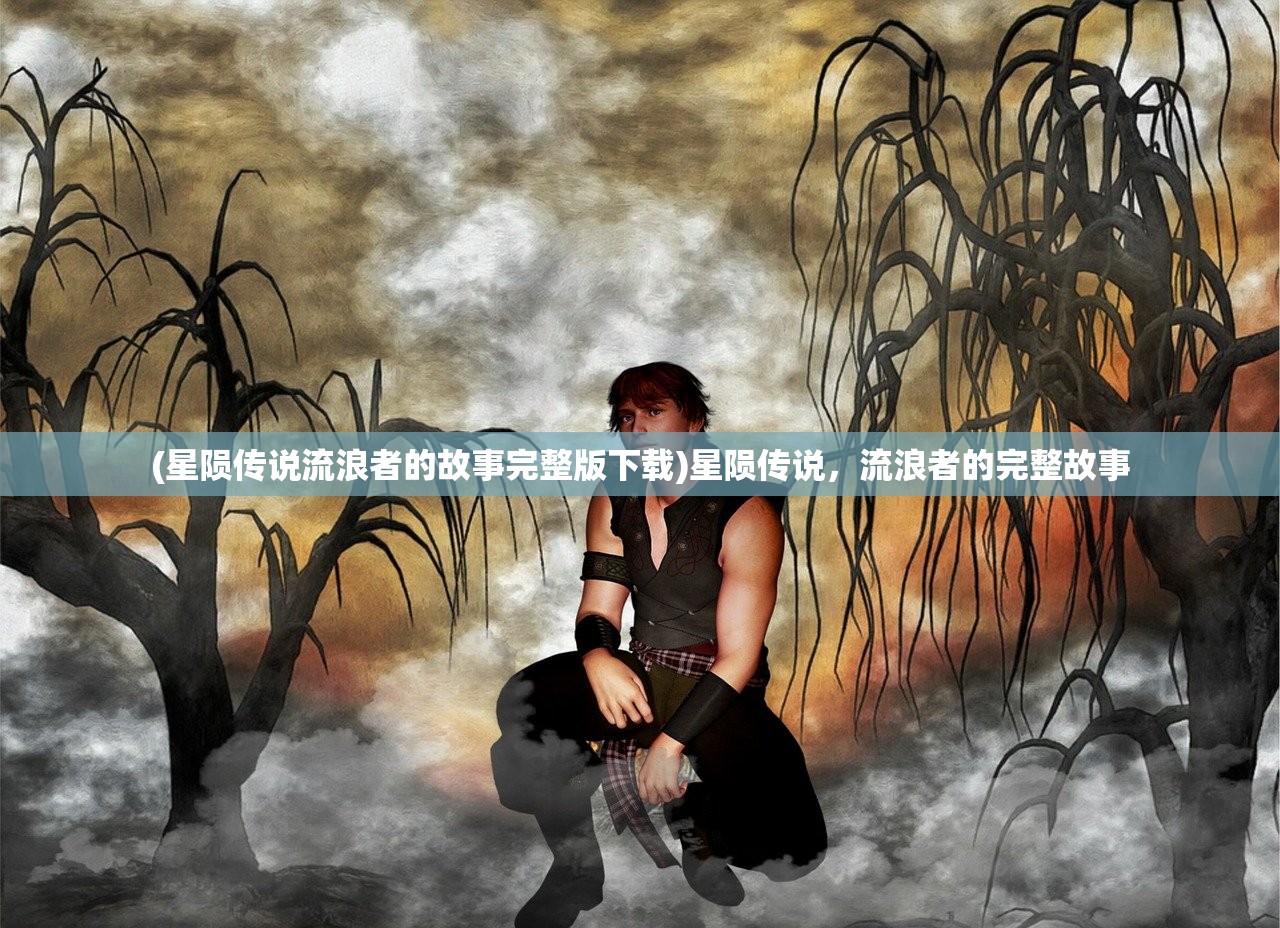 (星陨传说流浪者的故事完整版下载)星陨传说，流浪者的完整故事