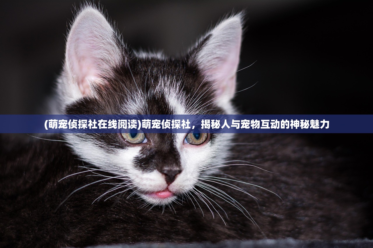 (萌宠侦探社在线阅读)萌宠侦探社，揭秘人与宠物互动的神秘魅力