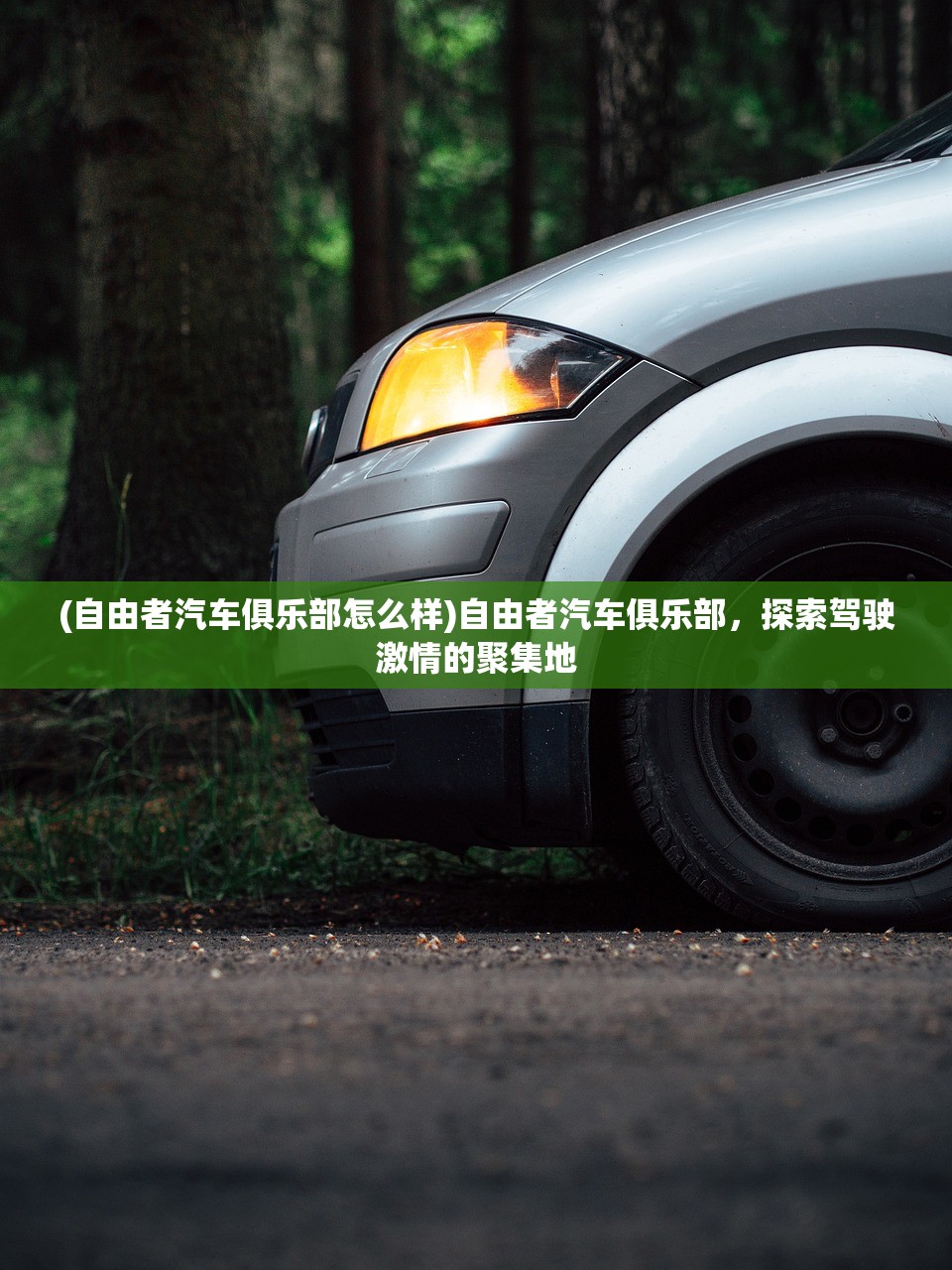 (自由者汽车俱乐部怎么样)自由者汽车俱乐部，探索驾驶激情的聚集地