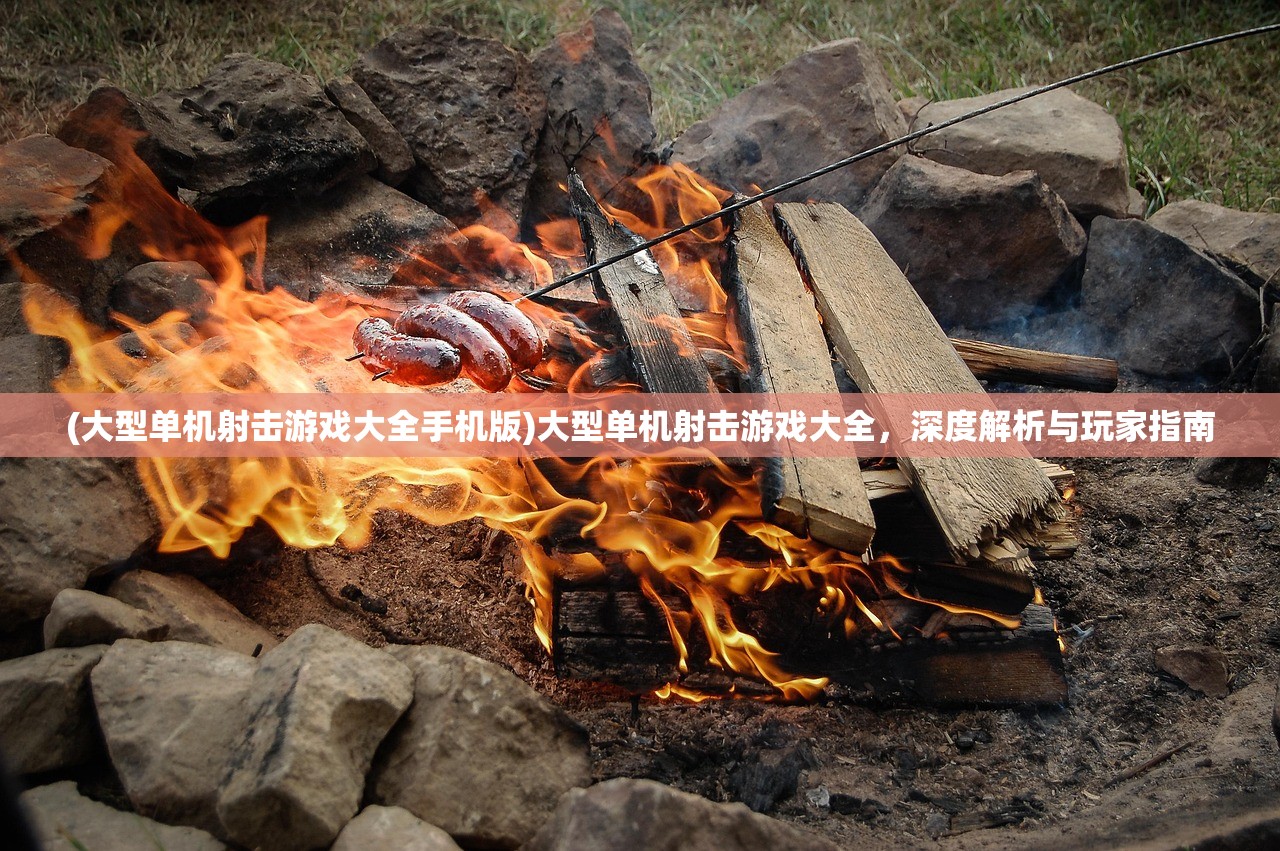(大型单机射击游戏大全手机版)大型单机射击游戏大全，深度解析与玩家指南