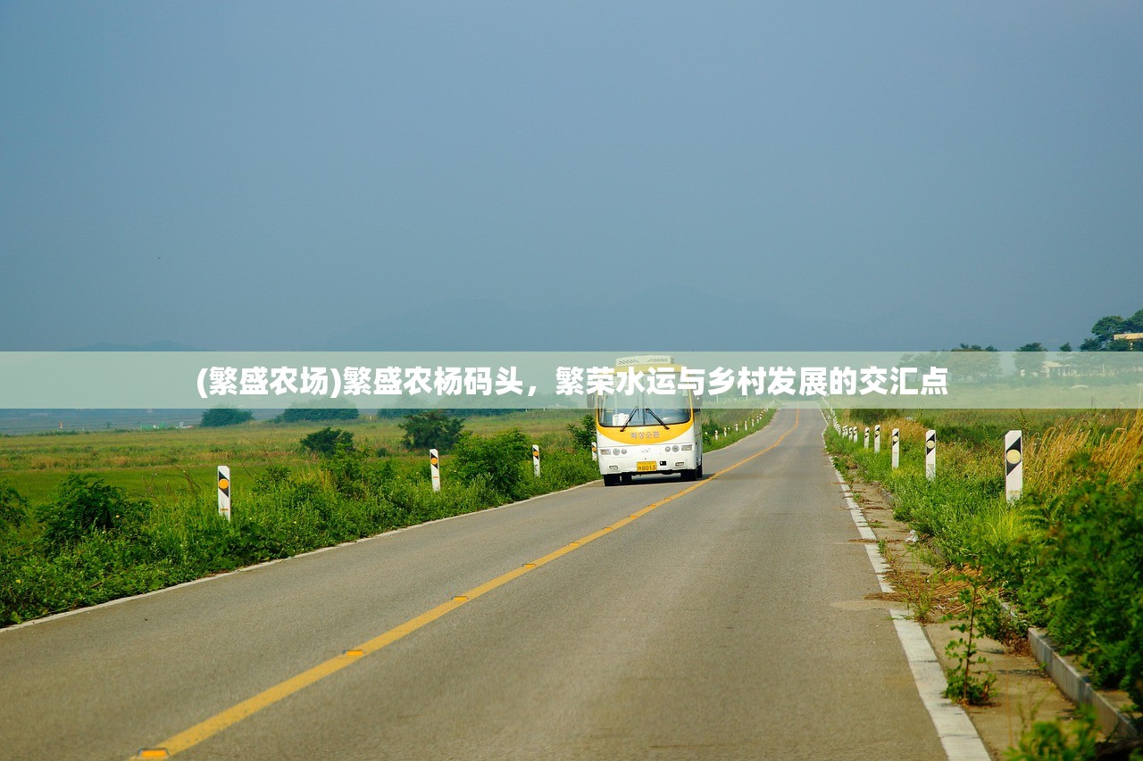 (繁盛农场)繁盛农杨码头，繁荣水运与乡村发展的交汇点
