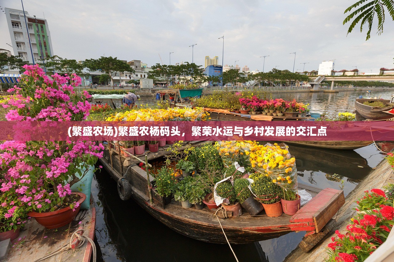 (繁盛农场)繁盛农杨码头，繁荣水运与乡村发展的交汇点