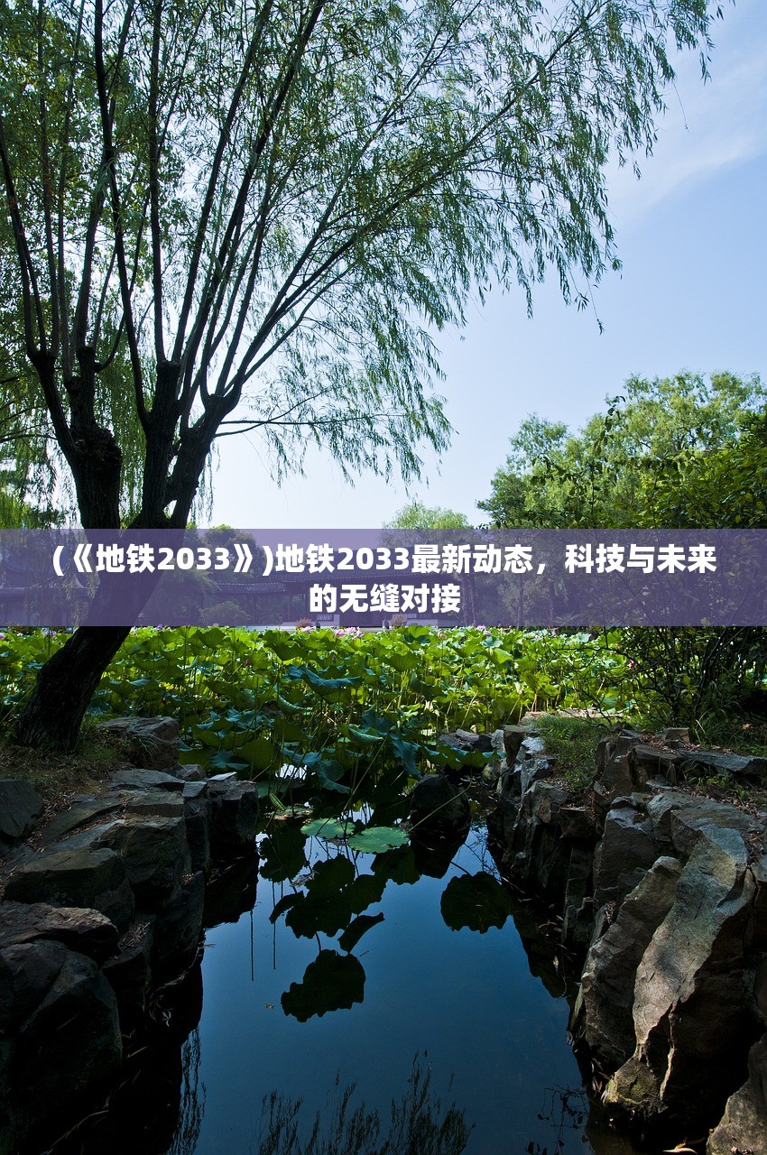 (《地铁2033》)地铁2033最新动态，科技与未来的无缝对接