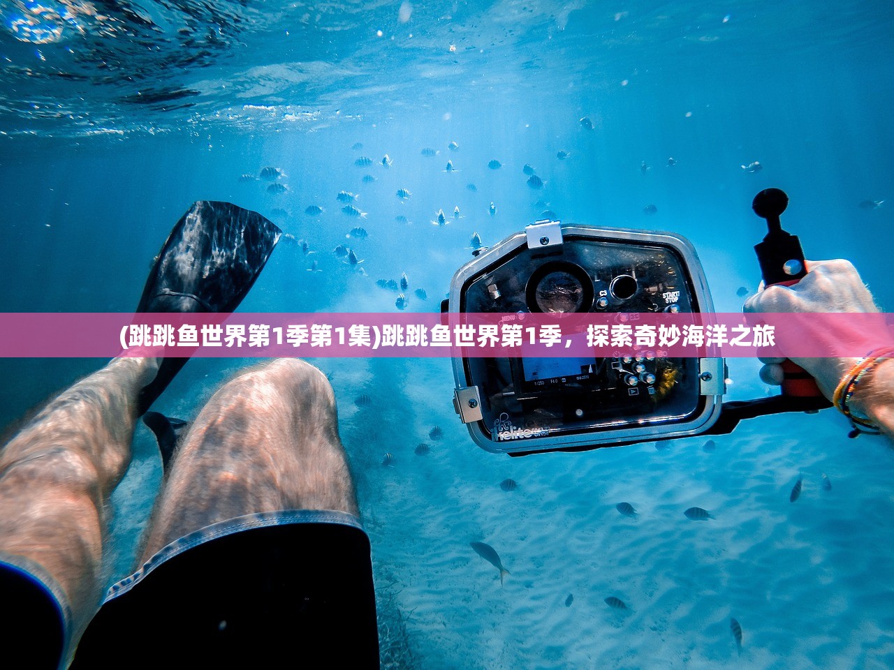 (跳跳鱼世界第1季第1集)跳跳鱼世界第1季，探索奇妙海洋之旅