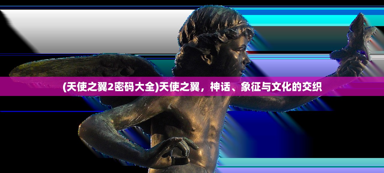 (天使之翼2密码大全)天使之翼，神话、象征与文化的交织