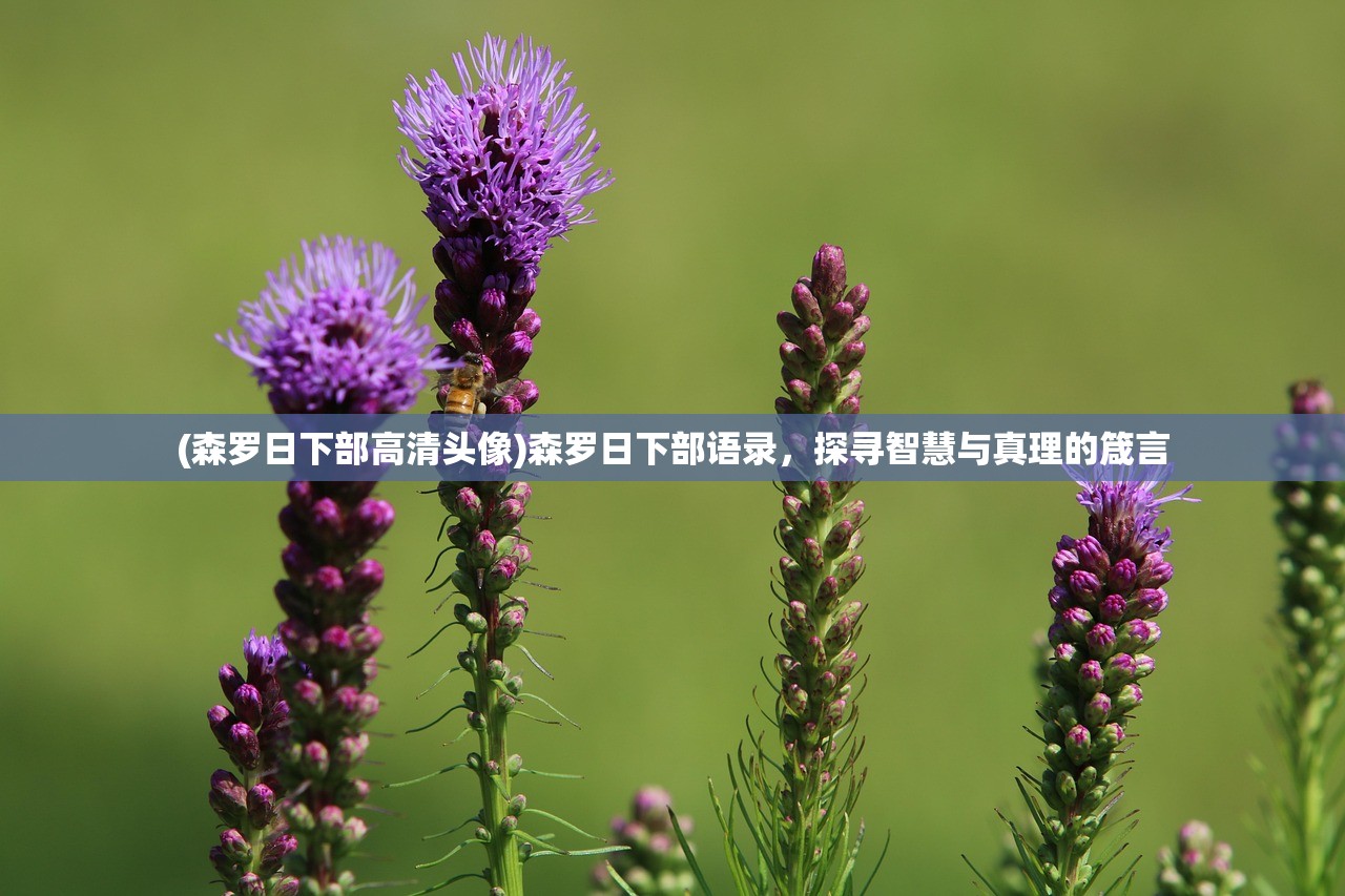 (森罗日下部高清头像)森罗日下部语录，探寻智慧与真理的箴言