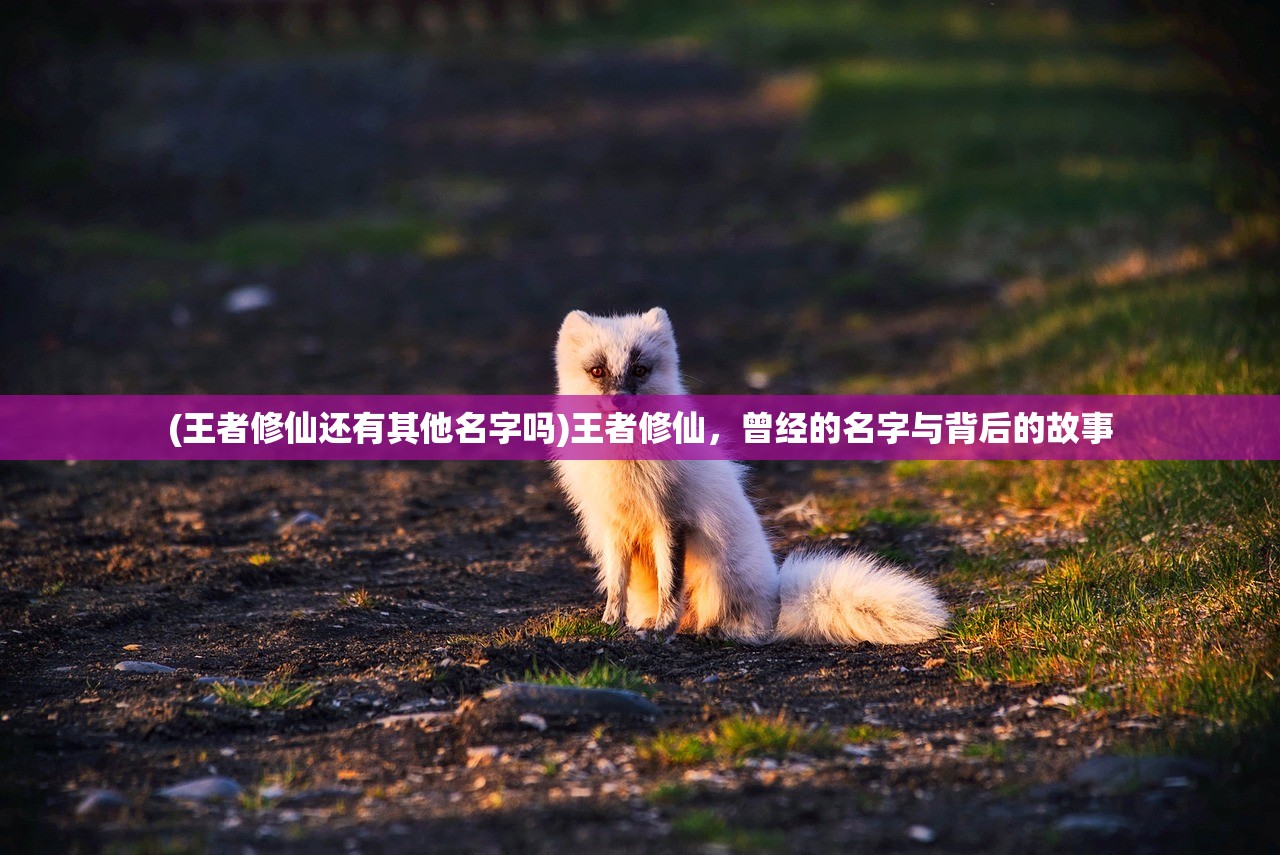 (王者修仙还有其他名字吗)王者修仙，曾经的名字与背后的故事