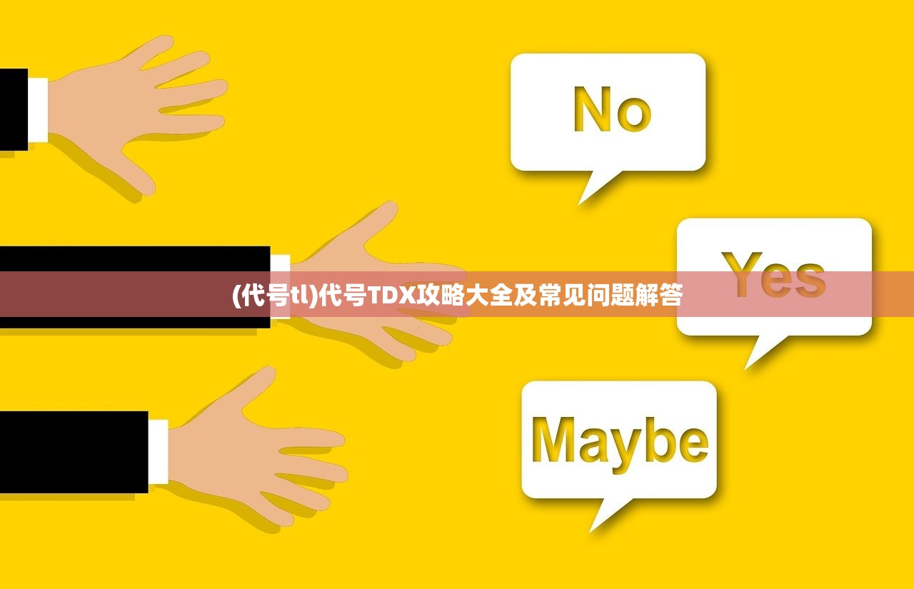 (代号tl)代号TDX攻略大全及常见问题解答