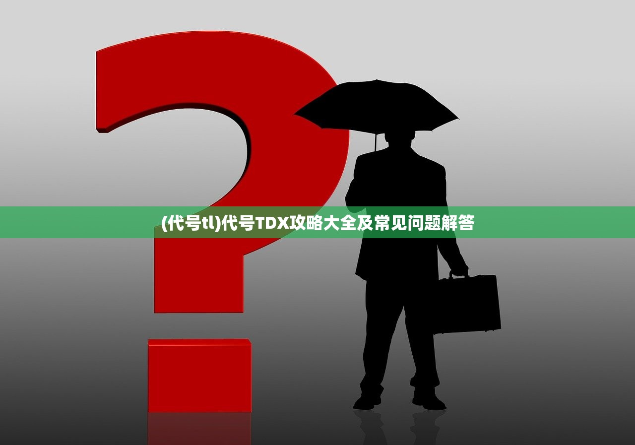 (代号tl)代号TDX攻略大全及常见问题解答