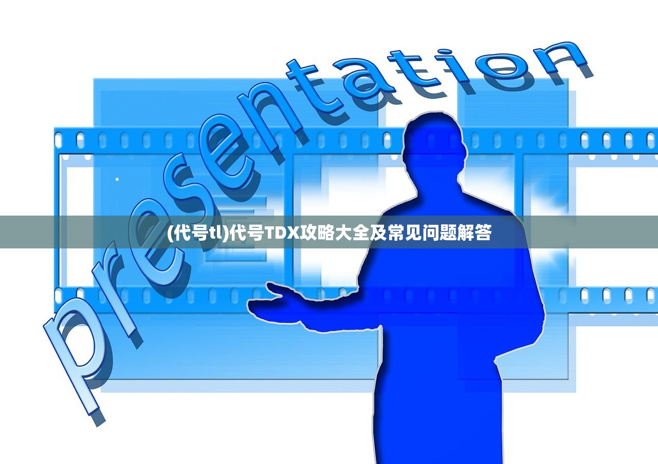 (代号tl)代号TDX攻略大全及常见问题解答