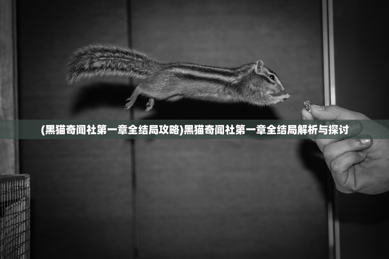 (黑猫奇闻社第一章全结局攻略)黑猫奇闻社第一章全结局解析与探讨