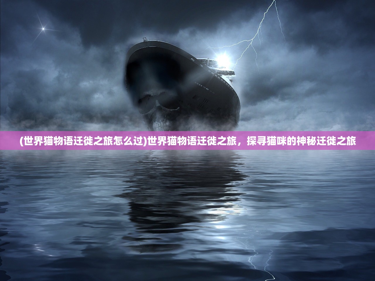 (世界猫物语迁徙之旅怎么过)世界猫物语迁徙之旅，探寻猫咪的神秘迁徙之旅